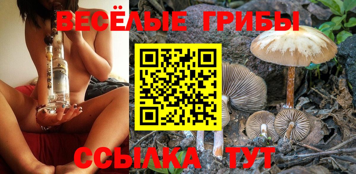 Новоуральск  Псилоцибиновые грибы Psilocybine cubensis  Вход с VPN 