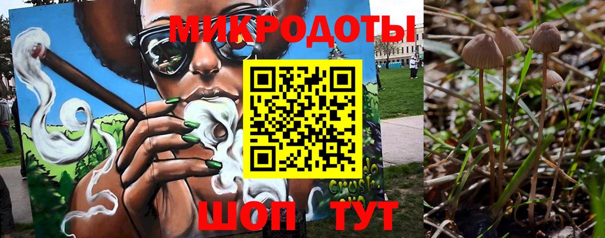 Псилоцибиновые грибы Psilocybine cubensis Новоуральск